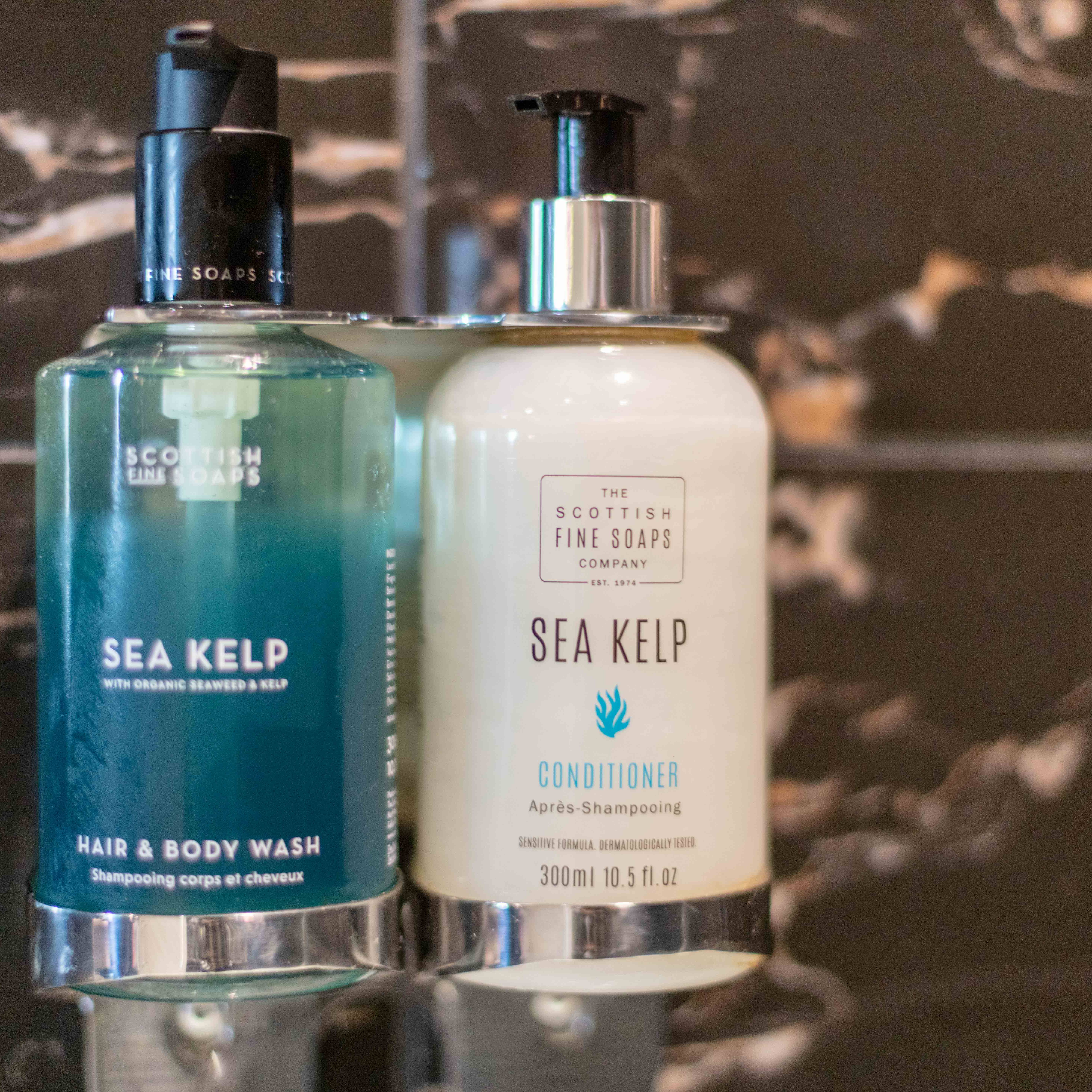 The Kylestrome update 2026 LR 29 uai